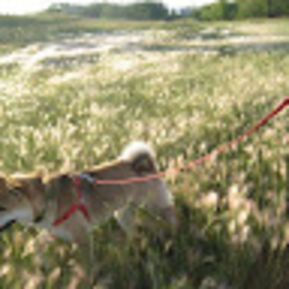 Meet your Posher, Carla